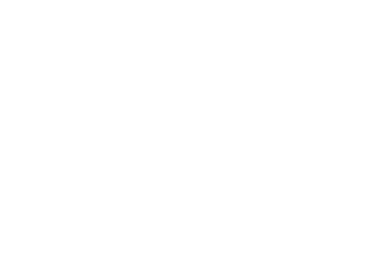 Logo Soluciones y Partes Portafolio